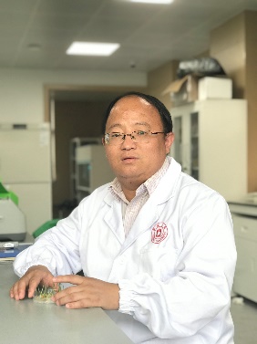 开云官方注册创新论坛第一千二百四十四讲暨120周年校庆年系列活动：碳（13C,14C）同位素标记技术在稻田土壤碳循环研究中的应用案例