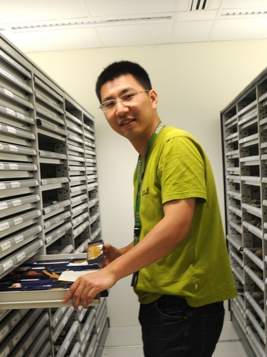 开云官方注册创新论坛第一千八百零一讲：虫鸣凤舞伴花香：现代陆地生态系统的起源