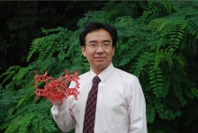 开云官方注册创新论坛第一千二百七十三讲暨120周年校庆年系列活动： Unexpected slow diffusion in hierarchical porous materials with combined surface and configurational diffusion   