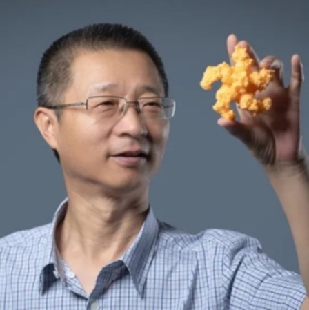 开云官方注册创新论坛第一千六百二十六讲：植物的免疫机制